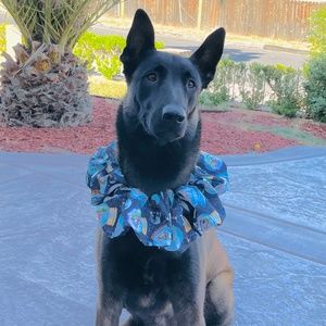 XL Dog Scrunchie ,Photoshoot, Hair Bow and Scrunchie! Match your Best Friend!